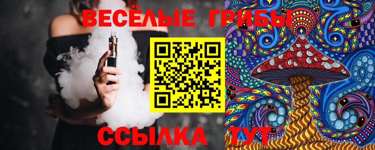 Галлюциногенные грибы мицелий Горно-Алтайск