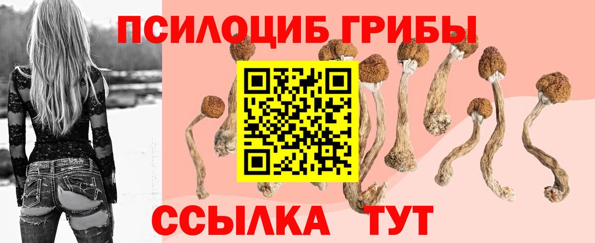 Галлюциногенные грибы MAGIC MUSHROOMS  Вход с VPN  магазин продажи   Горно-Алтайск 